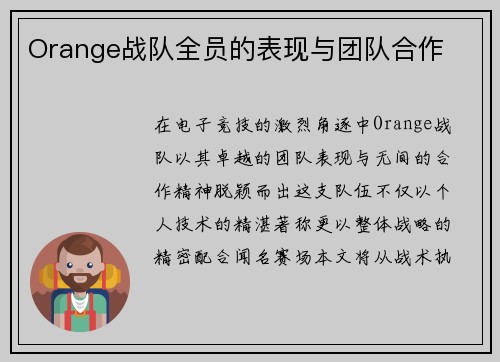 Orange战队全员的表现与团队合作