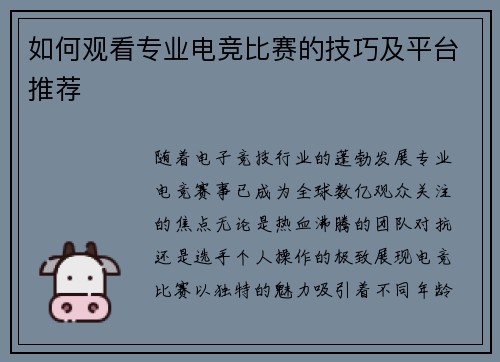 如何观看专业电竞比赛的技巧及平台推荐