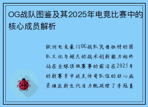 OG战队图鉴及其2025年电竞比赛中的核心成员解析